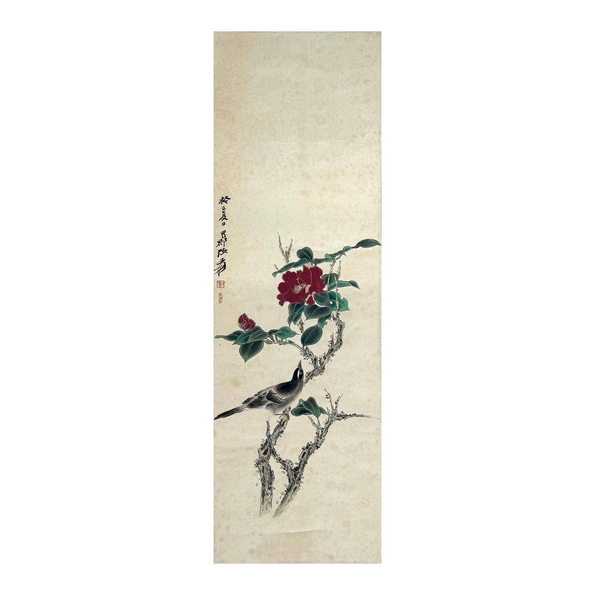 山茶棲禽圖